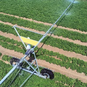 système surveillance dispositif irrigation